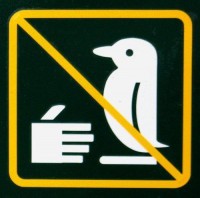 /album/placas-legais/nao-comprimente-o-pinguim-jpg/